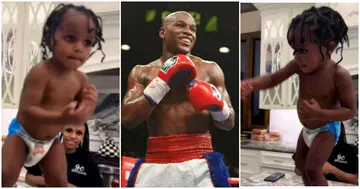 Floyd Mayweather, Meezy Mayweather, boxing skills, viral