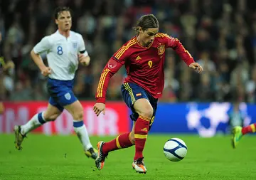 Fernando Torres' career