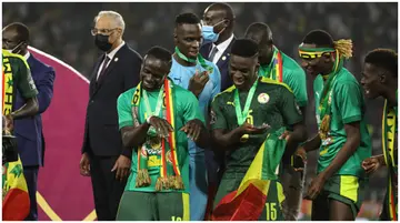 Senegal, World Cup, David Trezeguet