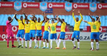 Mamelodi Sundowns, History, Single Point, Wrap Up, Premier Soccer League, Title, Champions, Winners, Soccer, South Africa, Football