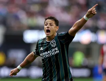 Javier Hernandez will be key to Los Angeles Galaxy's playoff hopes.