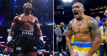 Oleksandr Usyk, Tyson Fury, Unification Bout, Fresh Challenge, Daniel Dubois, Sports, World, Boxing, Kevin Lerena