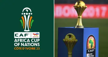 AFCON, Ivory Coast, South Africa, Senegal, Nigeria