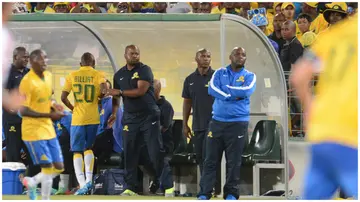 Manqoba Mngqithi (centre) during the DSTv Premiership match between Mamelodi Sundowns and Ajax Cape Town at Loftus Stadium on February 15, 2014 in Pretoria, South Africa.  Photo: Lefty Shivambu.