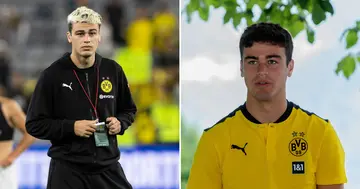 Borussia Dortmund, Haller, Bundesliga, Gio Reyna