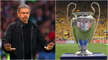 PSG, manager, Luis Enrique, club, win, Champions League, Borussia Dortmund, Real Madrid, Bayern Munich, semi-final, predict.