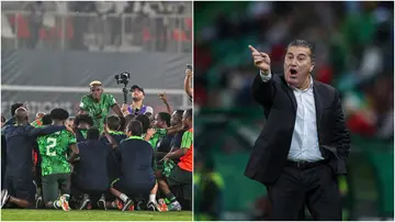 Jose Peseiro, Nigeria, Super Eagles, AFCON, Ivory Coast, coach