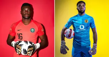 Kaizer Chiefs, Daniel Akpeyi, Focuses, Journey, Amakhosi, Renew, Nigeria, Contract, South Africa, Sport, Africa, Free Agent