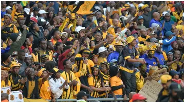 Kaizer Chiefs, South Africa, Soweto, Amakhosi, PSL, Edmilson Dove