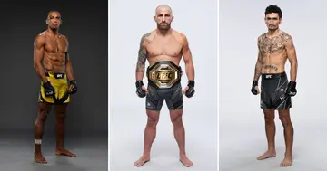 UFC, Featherweight Division, Sport, World, MMA, Max Holloway, Alexander Volkanovski, Edson Barboza