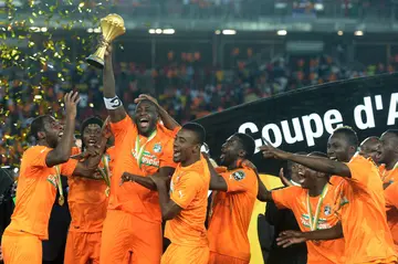 Ivory Coast national football team nickname