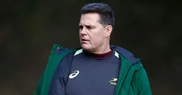 Rassie Erasmus, Has Mzansi, Laughing, With a Meme, About Himself, Rugby