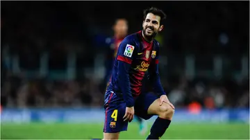 Cesc Fabregas