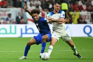 USA's Tyler Adams (L) fights for the ball with England's Mason Mount