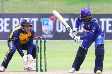 csa t20 challenge, cricket south africa, gqeberha, north west dragons, itec knights, imperial lions, hollywoodbets dolphins, six gun grill western province, momentum multiply titans, itec knights, hollywoodbets warriors, st. geroge's park, gqeberha