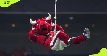 Houston Texans' mascot Toro