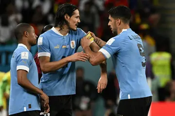 Luis Suarez (right) passes on the captain's armband to substitute Edinson Cavani at the World Cup