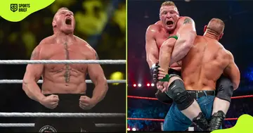 Brock Lesnar vs John Cena in the best WWE PPV