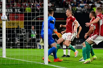 Adam Szalai's first half goal proves decisive in Leipzig