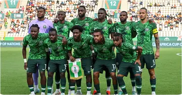 Nigeria, Super Eagles, CAF, NFF, Coach, AFCON