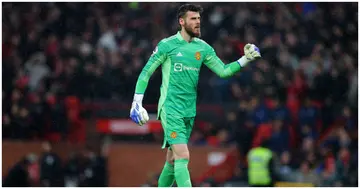 David De Gea celebrates his side's first goal during the Premier League match between Manchester United and Brentford at Old Trafford. Photo by James Gill - Danehouse.