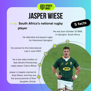 Facts about Jasper Wiese