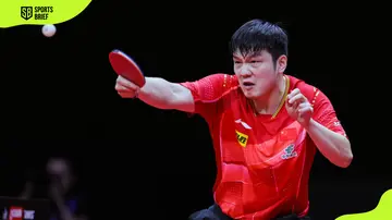 How long has Fan Zhendong been world number 1?