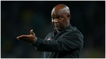 Pitso Mosimane, South Africa, Mamelodi Sundowns, Gavin Hunt