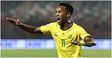 Themba Zwane, South Africa, Nigeria, World Cup Qualifiers, Super Eagles, Bafana Bafana