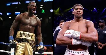 Deontay Wilder, Top Spot, Anthony Joshua, Falls Down, WBC, Latest, Heavyweight Rankings, Sport, World, Boxing