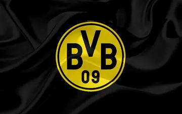 The Borussia Dortmund logo