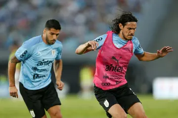 Now aged 35, Uruguay's Luis Suarez (L) and Edinson Cavani are set to appear at their last World Cup