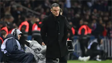 Christophe Galtier, PSG, coach, sack, terminate, Luis Enrique