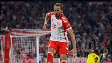 Harry Kane, Bayern Munich, Tottenham Hotspur, Bundesliga, Premier League