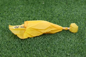 An official's penalty flag at Nissan Stadium in Nashville