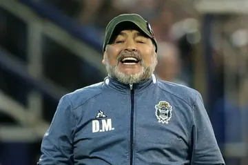 Diego Maradona walks away from ninth managerial job after only two months