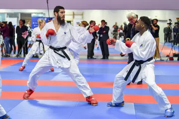 Which is better for self defence, taekwondo or karate?