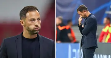 RB Leipzig, Sack, Domenico Tedesco, Disappointing, Defeat, Shakhtar Donetsk, UEFA Champions League, Sport, Soccer, World