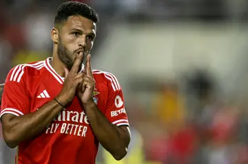 Goncalo Ramos helped Benfica to the Portuguese league title last season