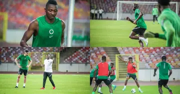 Super Eagles, Augustine Aguavoen, Nigeria, Ghana, Black Stars, 2022 World Cup