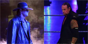 WWE legend The Undertaker end 30-year career in style at Survivor Series
