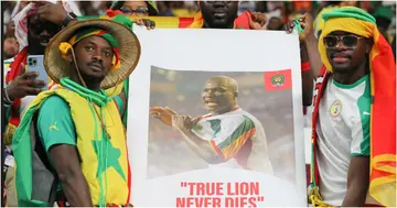 World Cup, Papa Bouba Diop, legend, Senegal, teranga lions, honour, late, football, ecuador, qatar, 2022, world cup