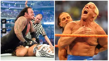 WWE, Wrestlemania, Undertaker, Hulk Hogan