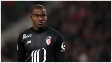 Vincent Enyeama, Super Eagles, Nigeria, NFF