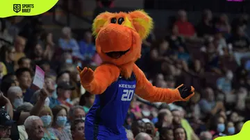 Connecticut Sun's mascot, Blaze