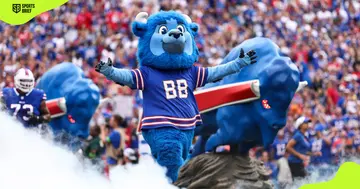 Buffalo Bills mascot Billy Buffalo