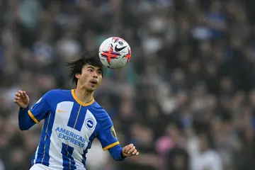 Injured: Brighton and Japan winger Kaoru Mitoma