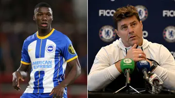 Moises Caicedo, Chelsea, Liverpool, Mauricio Pochettino, Jurgen Klopp, Brighton, Premier League