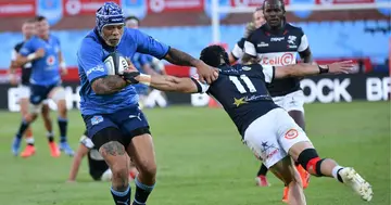 Blue Bulls, The Sharks, Curie Cup final, rugby, sports