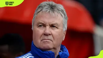 Guus Hiddink looks on during Chelsea's game